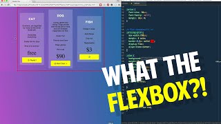 Flexbox Pricing Grid