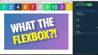Flexbox Ordering